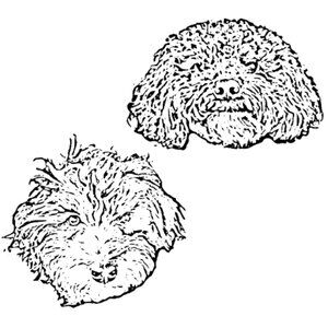 Extra Shipping Label